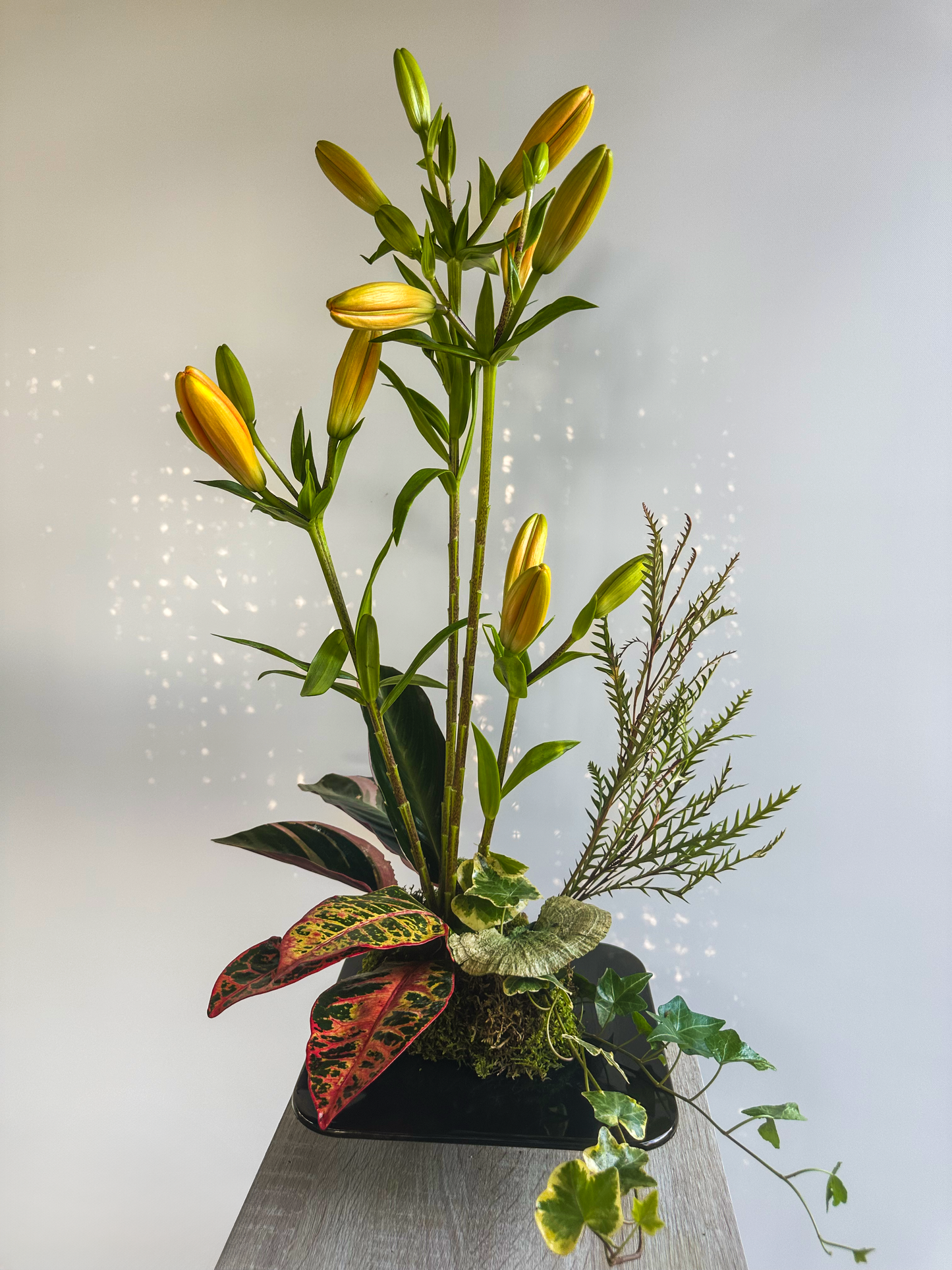 Modern arrangement with budding yellow lilies, croton leaves, and ivy, designed in a low black container - VIP Floristry, Houston
