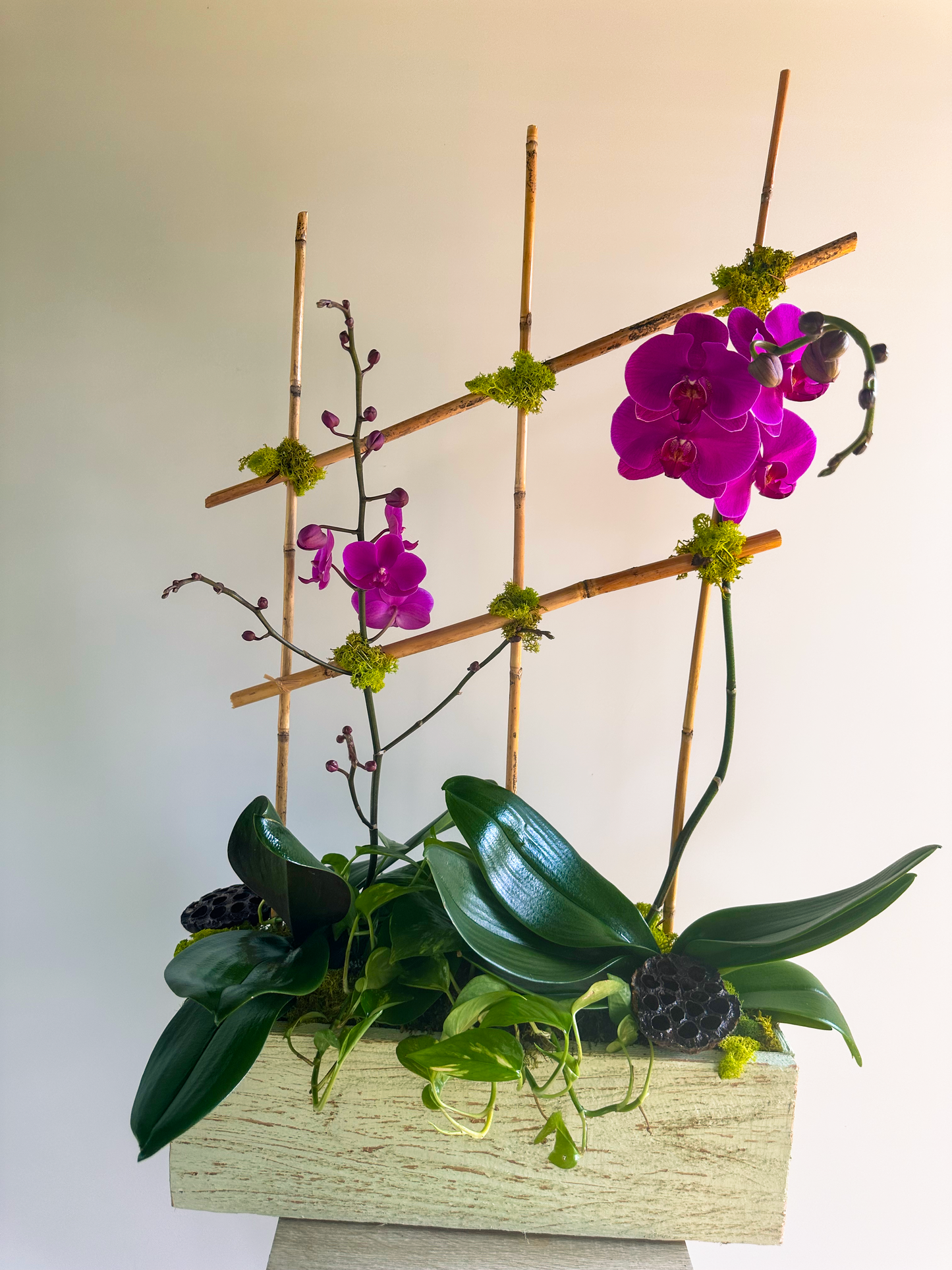 Modern purple orchid arrangement featuring bamboo lattice and verdant leaves, ideal for Houston home and office decor.