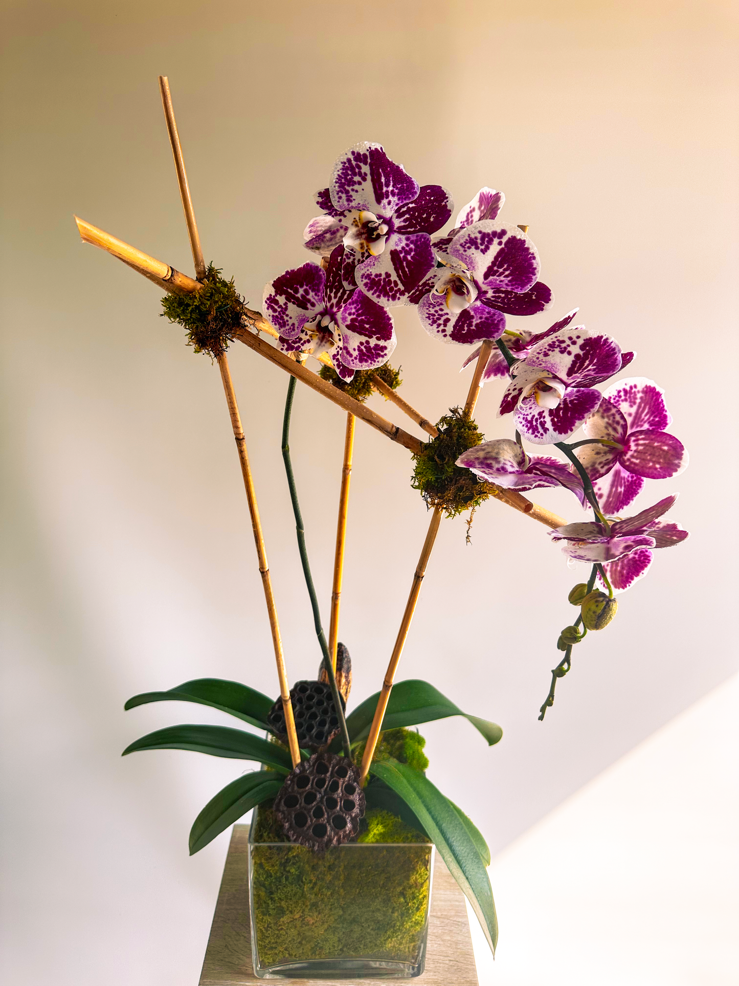 Unique floral arrangement with purple-spotted orchids, bamboo sticks, and lush moss in a square glass vase. Ideal for modern decor in Houston.