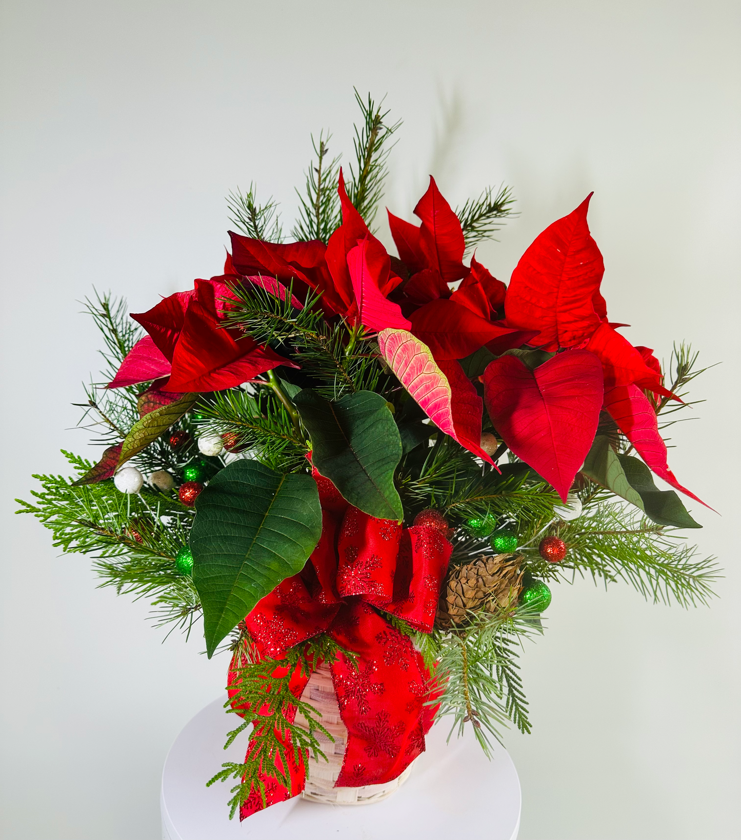 Poinsettia Delight