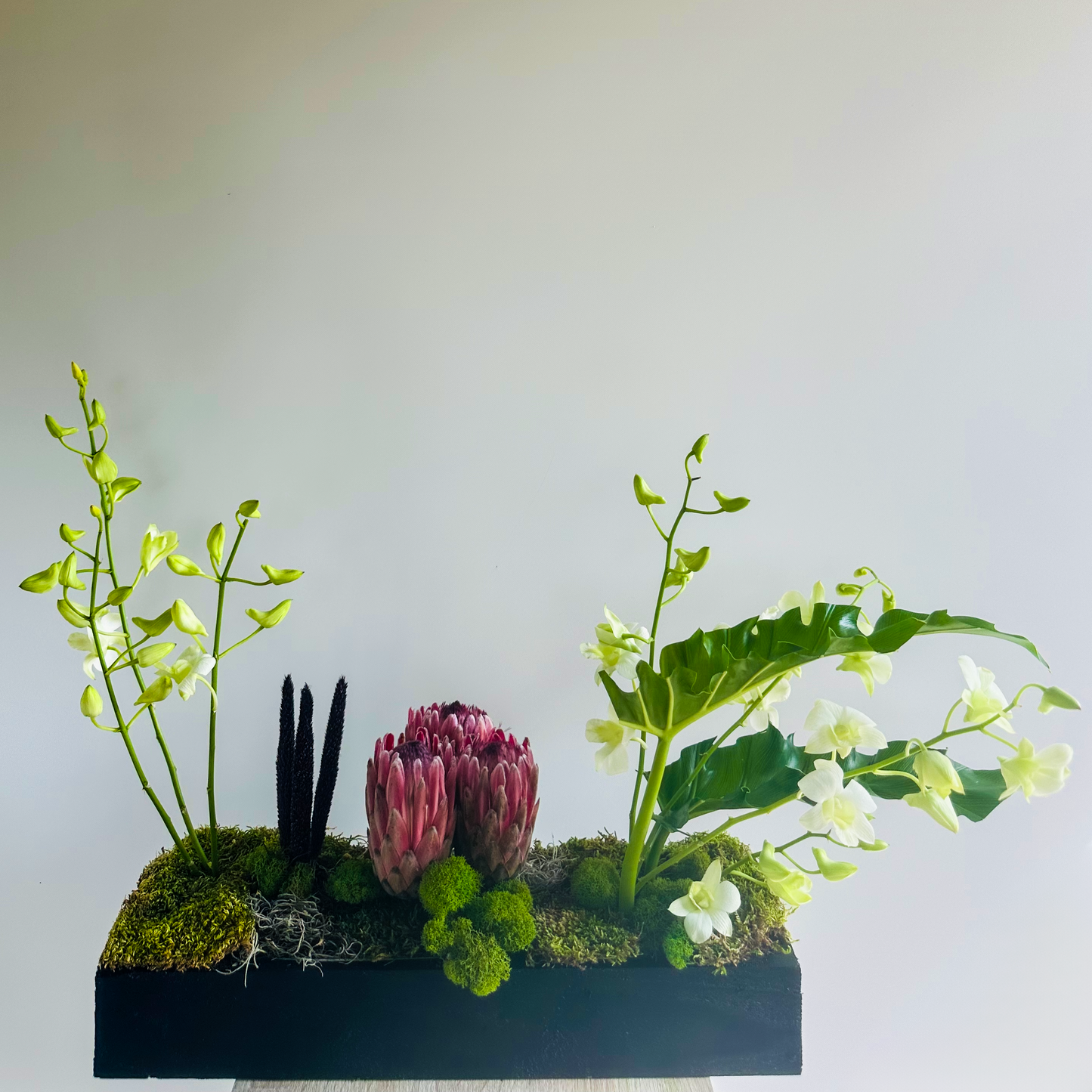 Unique floral arrangement featuring white orchids, pink proteas, and lush greenery on a moss-covered base. Ideal for modern Houston homes and businesses, this design brings an elegant touch of nature indoors.