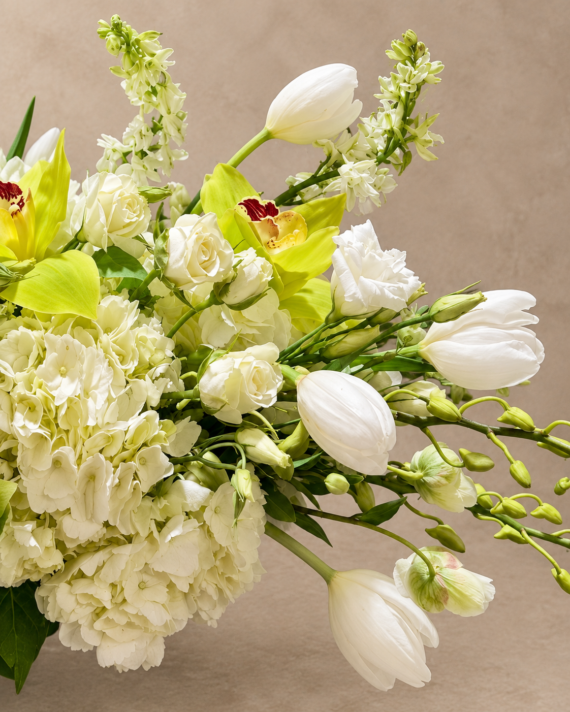 Detail of white tulips, chartreuse cymbidium orchids, white spray roses and hydrangea in the Chartreuse Green Delight arrangement.