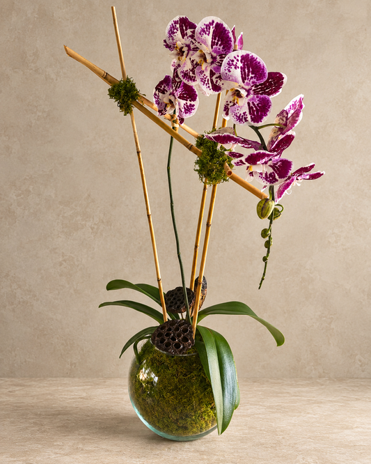A decorative floral arrangement featuring purple and white spotted orchids with green leaves, mounted on natural bamboo stakes and mossy accents, set in a round glass vase filled with green moss, on a beige surface against a textured beige wall.
