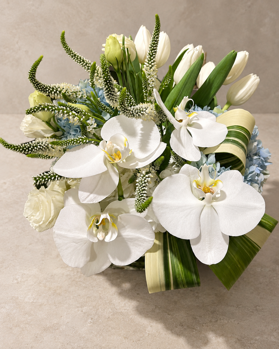 Elevated three-quarter view of the White Butterfly arrangement with white orchids, right-sweeping tulips, blue hydrangea and sculptural variegated leaves.