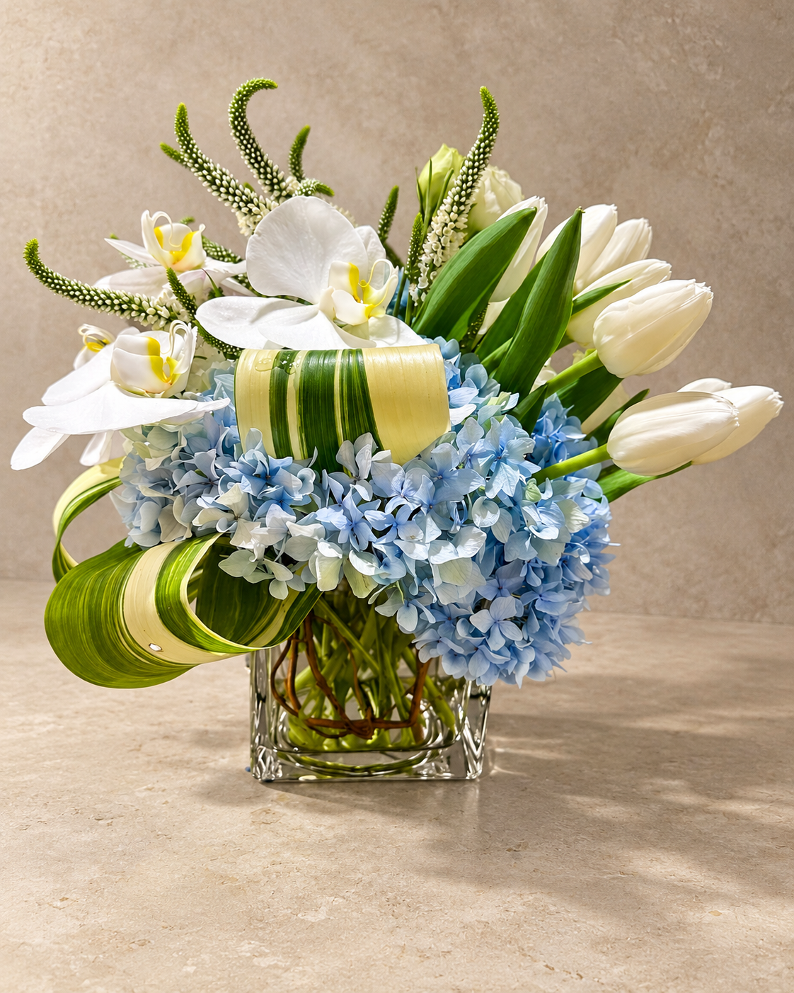 Front view of the White Butterfly floral arrangement with white orchids and tulips, blue hydrangea and looped foliage in a clear square glass vase.