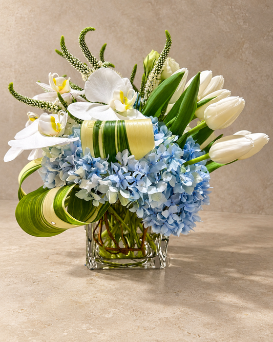 Front view of the White Butterfly floral arrangement with white orchids and tulips, blue hydrangea and looped foliage in a clear square glass vase.