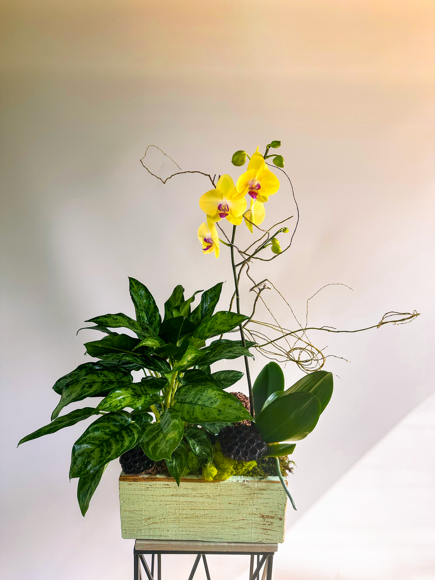 Elegant arrangement featuring vibrant yellow orchids, lush green foliage, and twisted branches in a rustic wooden container. Perfect for luxury floral decor in Houston.