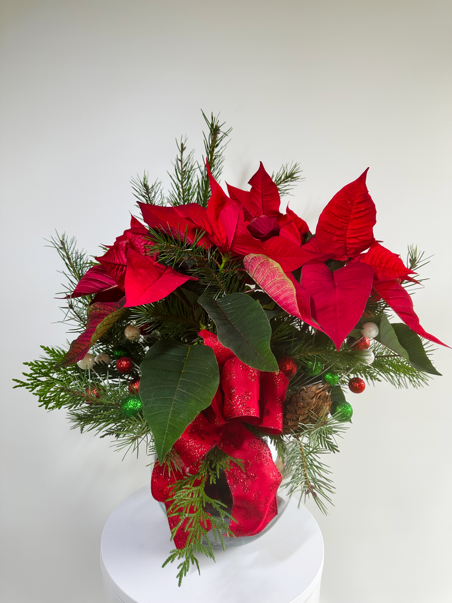 Poinsettia Delight