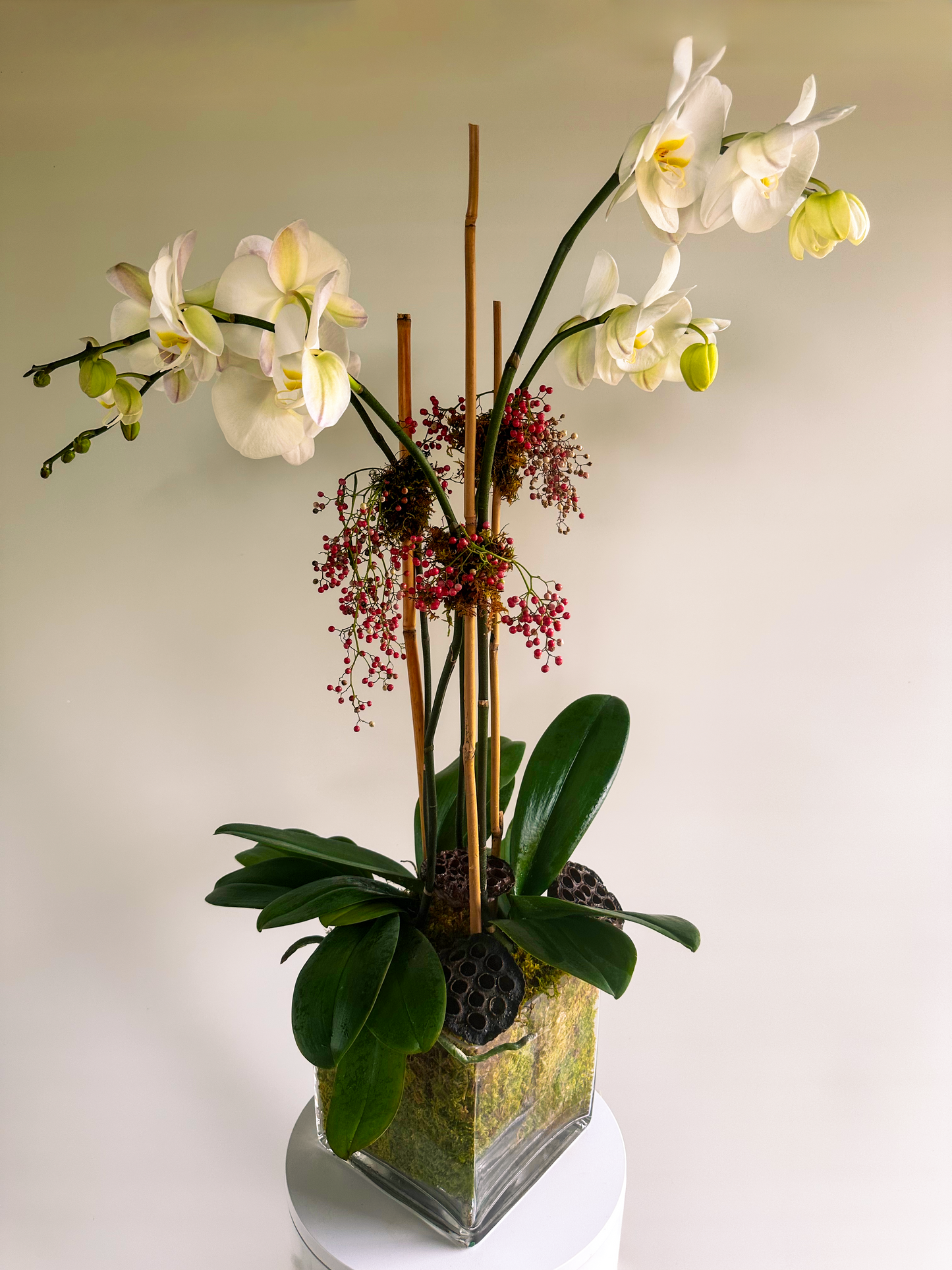 Double Delight Orchid Arrangement