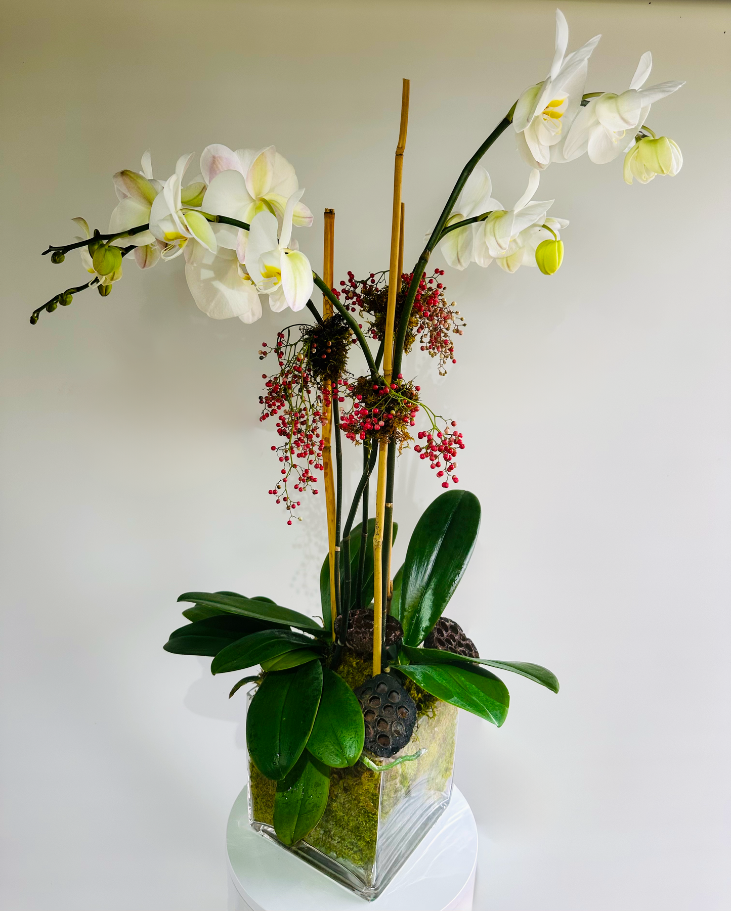 Double Delight Orchid Arrangement