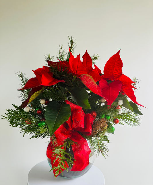 Poinsettia Delight