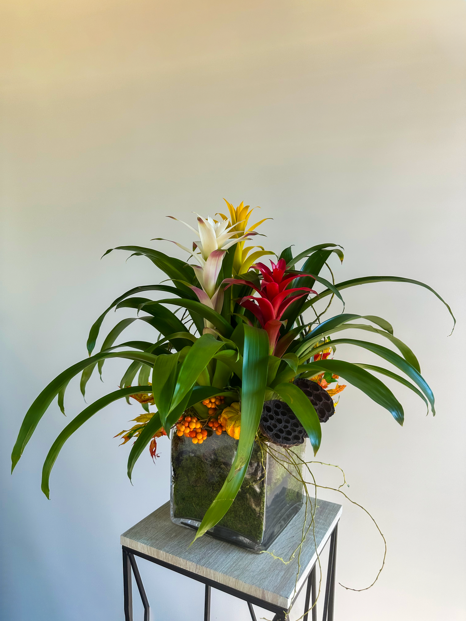 Elegant tropical arrangement featuring vibrant bromeliad plants in a glass vase with decorative foliage, showcasing VIP Floristry's luxury plant arrangements in Houston.