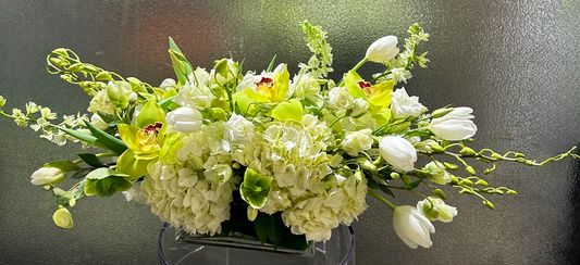 An elegant floral arrangement with a soft palette of green and white flowers, featuring chartreuse orchids, white hydrangeas, and tulips. This lush bouquet creates a refined, fresh aesthetic, perfect for bringing a touch of natural elegance to any event or setting in Houston.