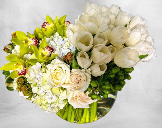 A luxurious arrangement featuring pristine white tulips, creamy roses, and vibrant green cymbidium orchids with red accents. This arrangement is complemented by soft white hydrangeas and green hypericum berries, arranged in a clear glass vase.