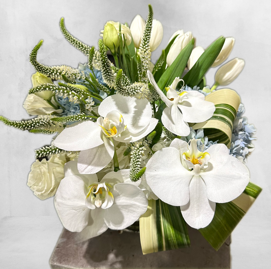 A close-up of a white orchid arrangement, accented with blue hydrangeas and green leaves, ideal for elegant settings. The arrangement's light colors and sophisticated design make it perfect for upscale events or luxury floral services in Houston.